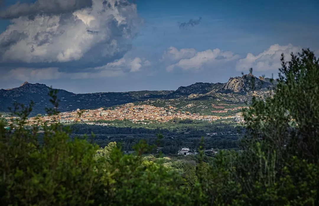 Dolce Luna-1